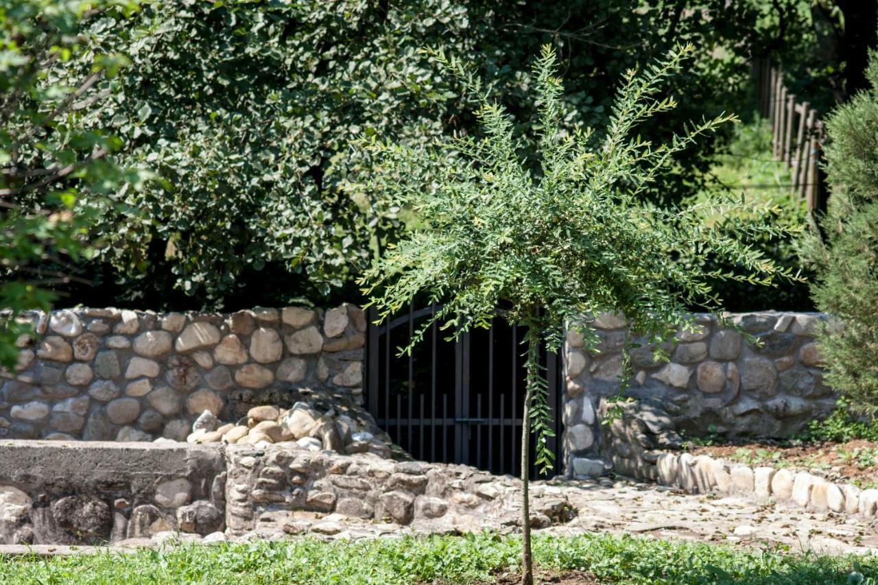Guesthouse Silvani Krusevac Ngoại thất bức ảnh