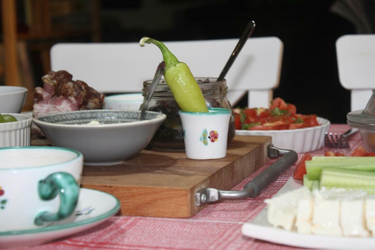 Guesthouse Silvani Krusevac Ngoại thất bức ảnh